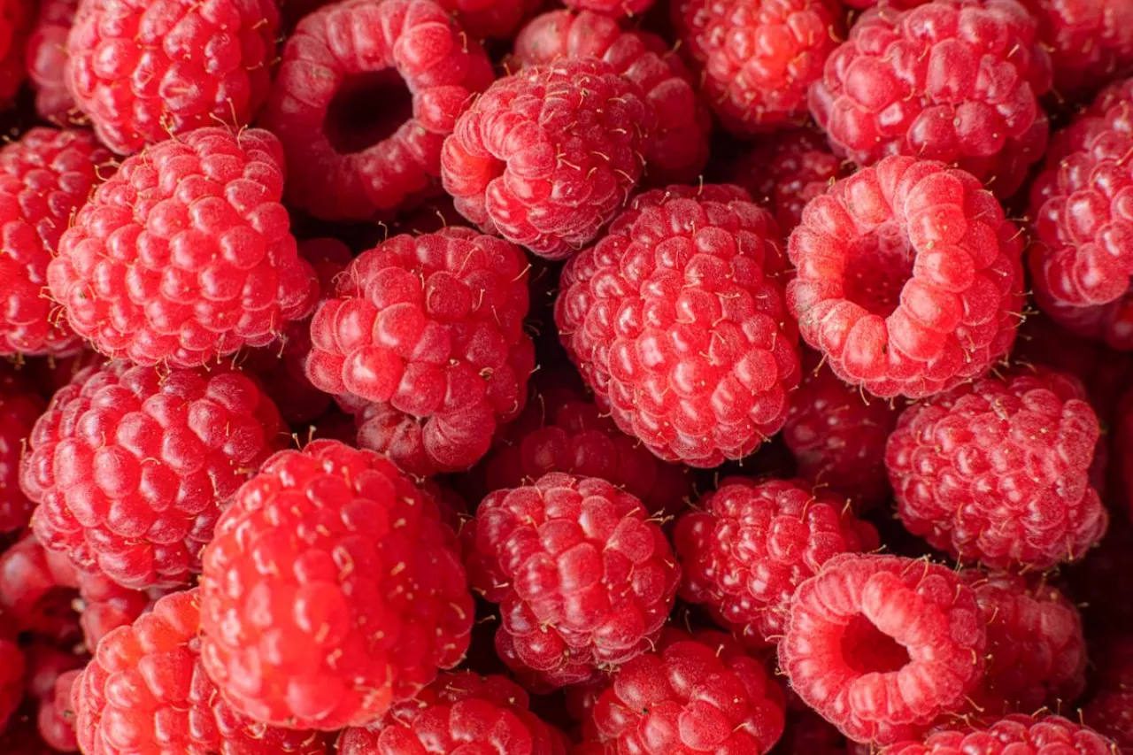 zapasy mrożonych malin