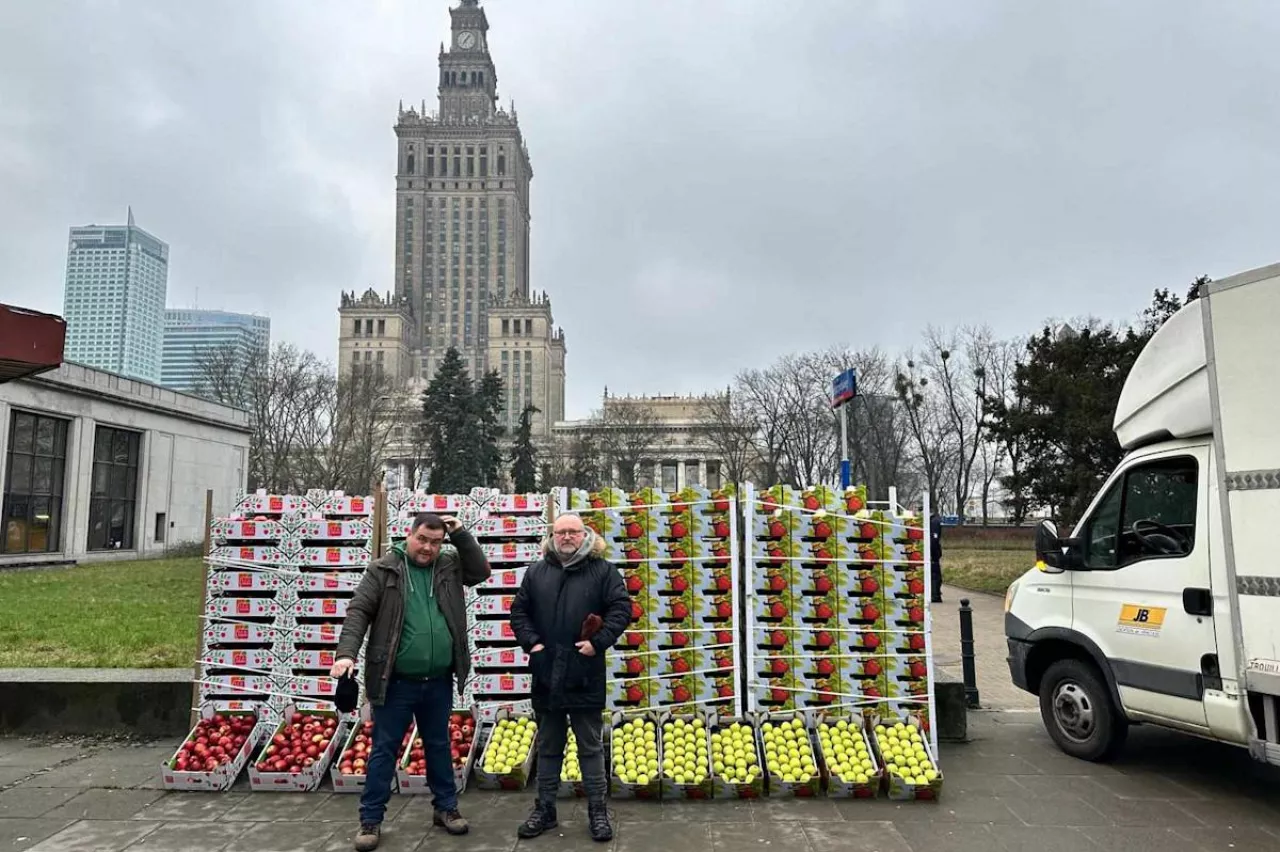 polscy sadowniczy częstowali warszawiaków jabłkami