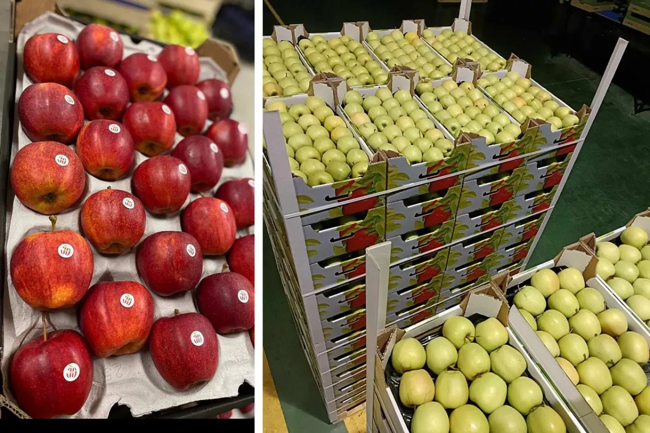 eksport jabłek w lutym 2024