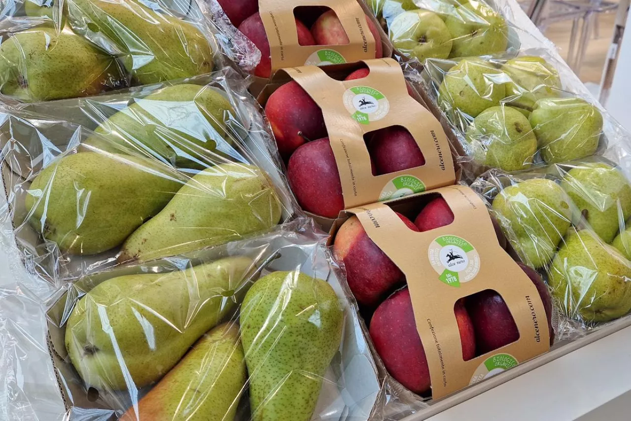 plastikowe opakowania na owoce