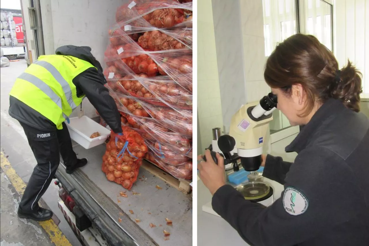 kontrole na granicy polsko-ukrainskiej