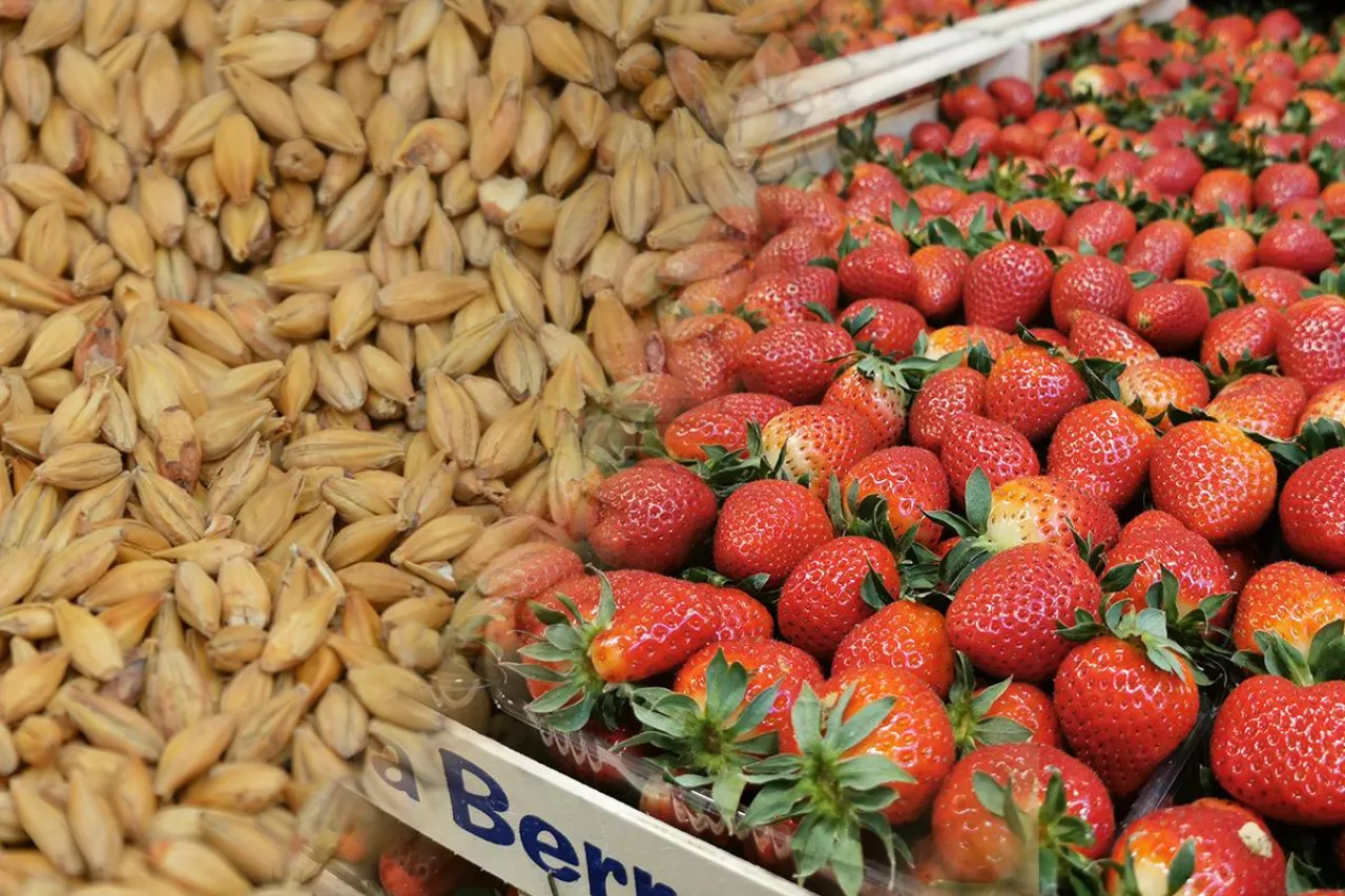 embargo na produkty rolne