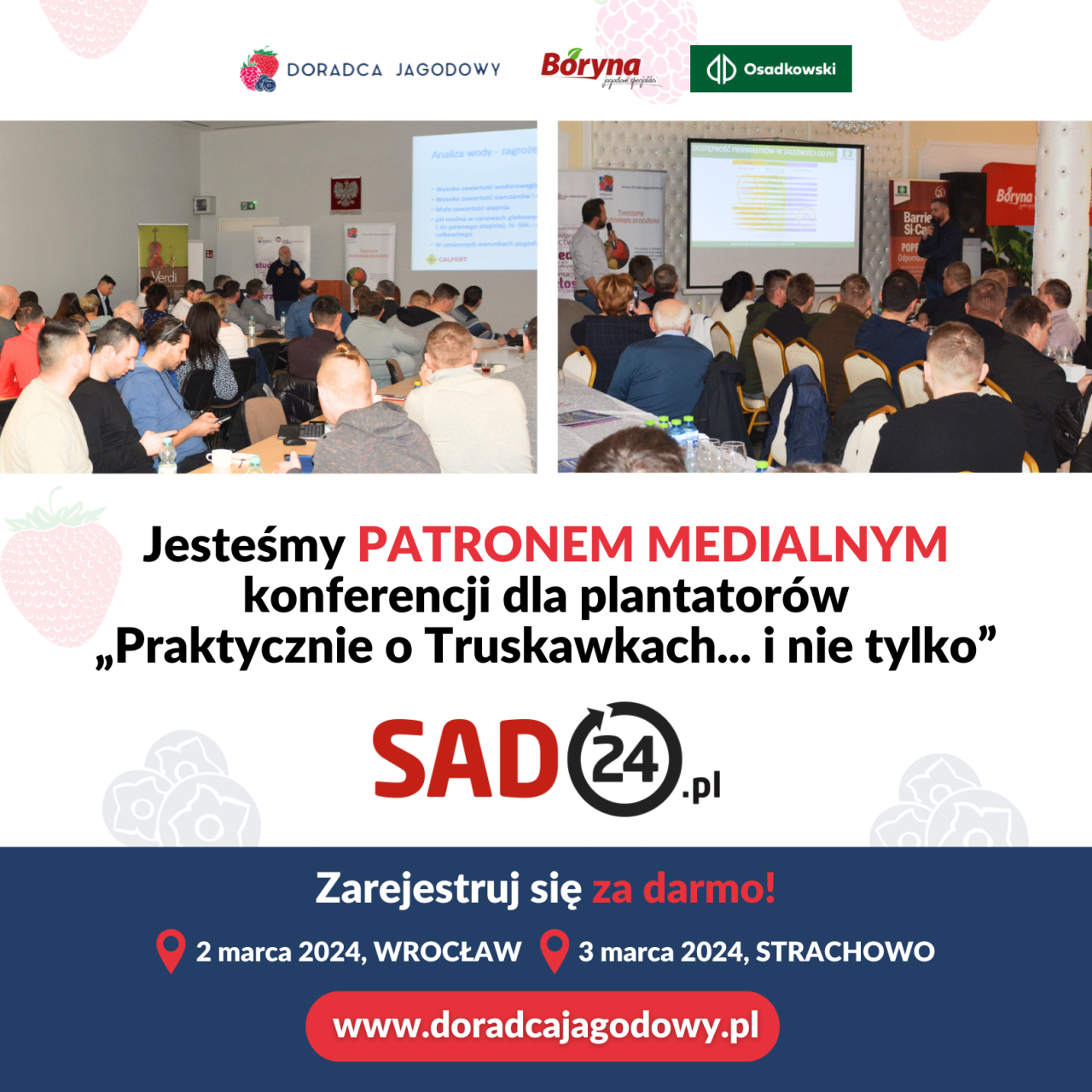 doradca jagodowy