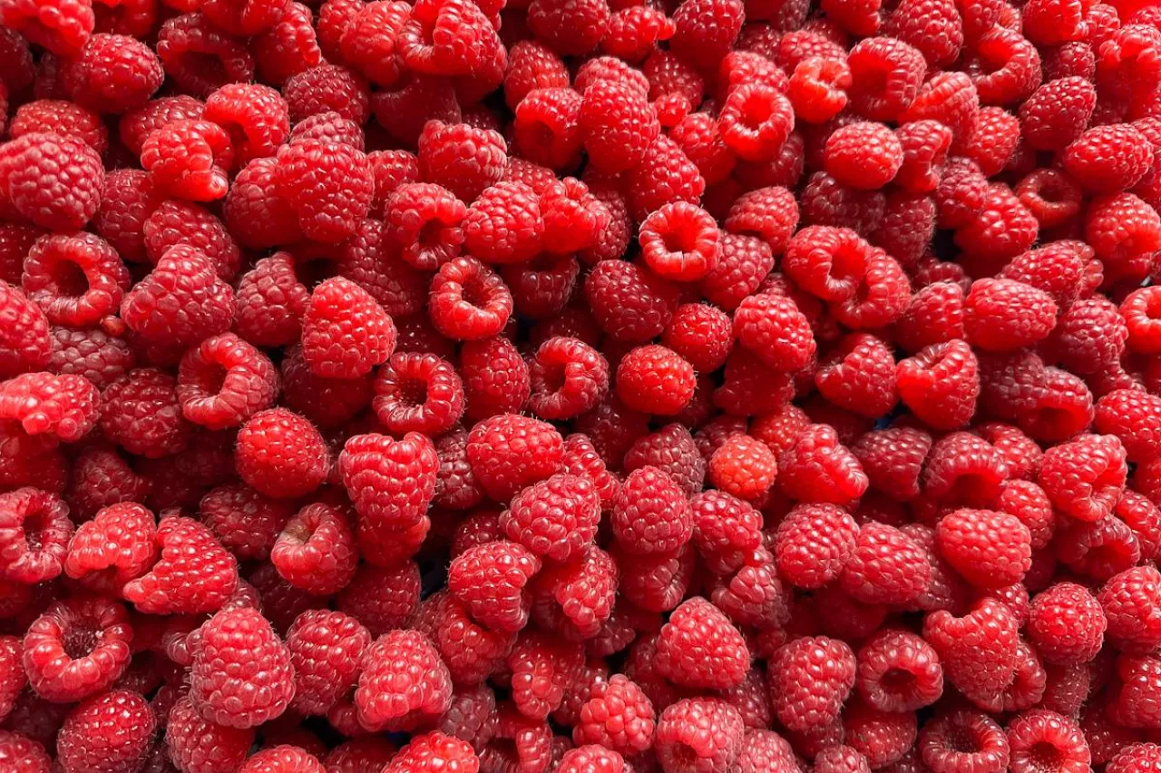 mrożone maliny importowane z ukrainy