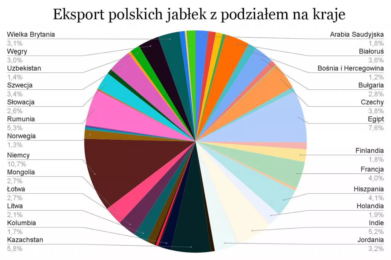 odbiorcy polskich jabłek