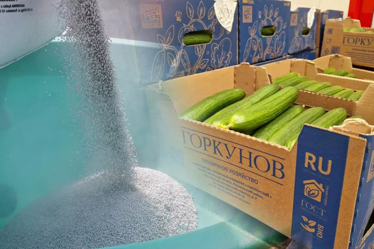 import nawozów i warzyw z rosji