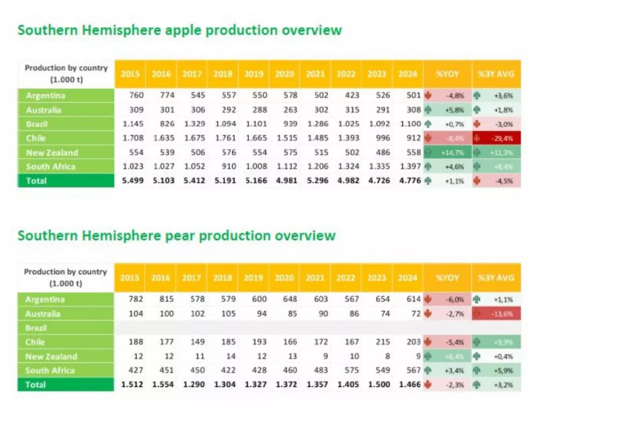 zbiory jabłek i gruszek na połudnowej półkuli