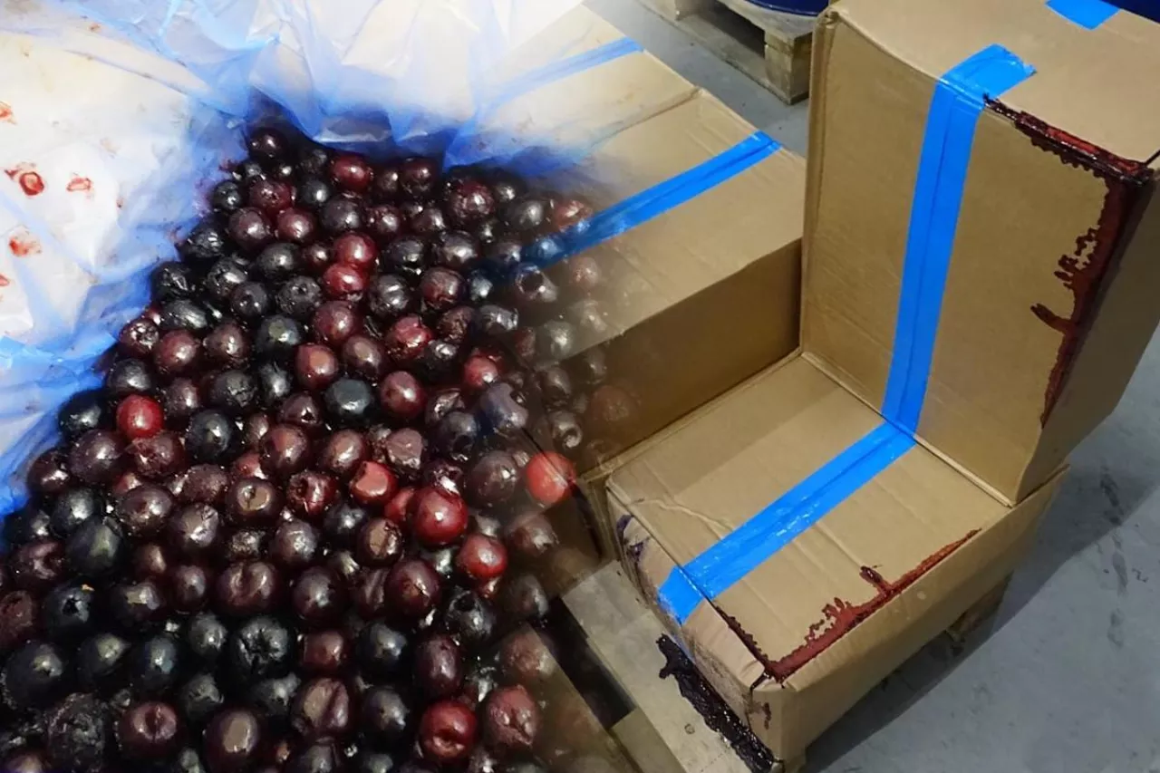 mrożone czereśnie z turcji