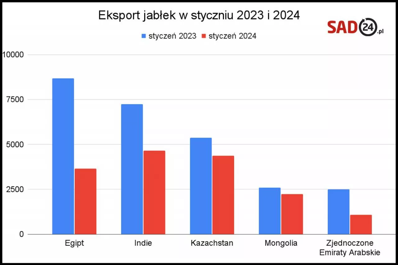 eksport polskich jabłek styczen 2024