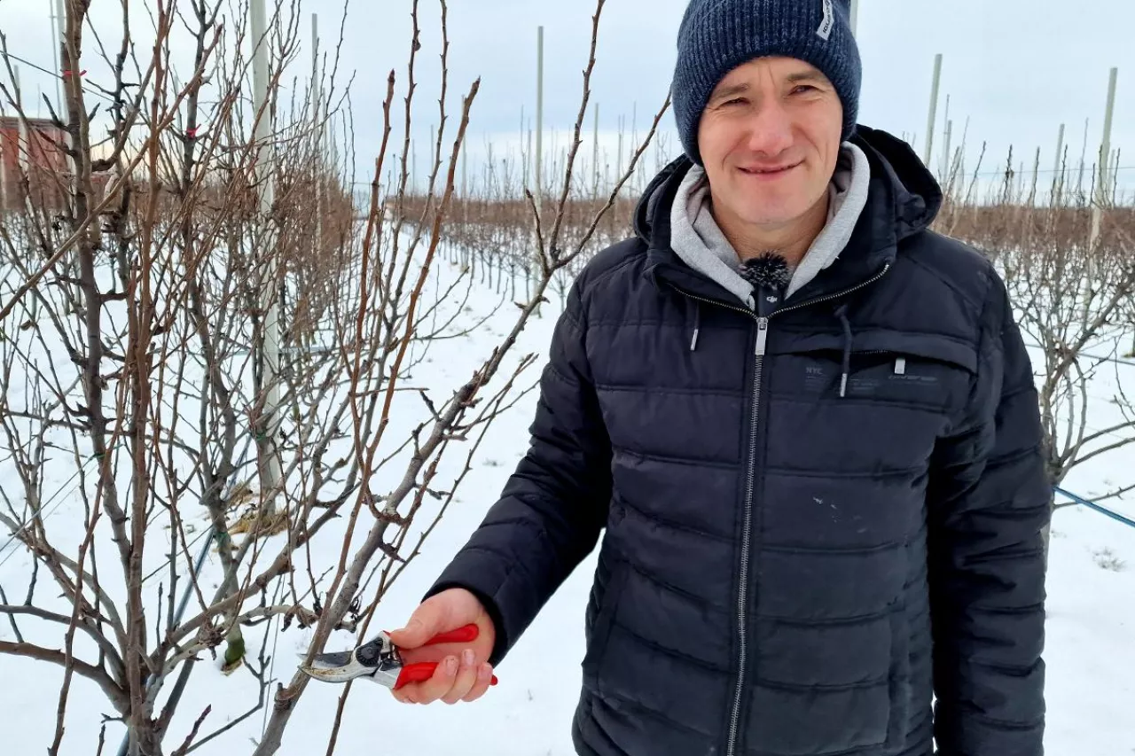 pokaz cięcia w obrazowie