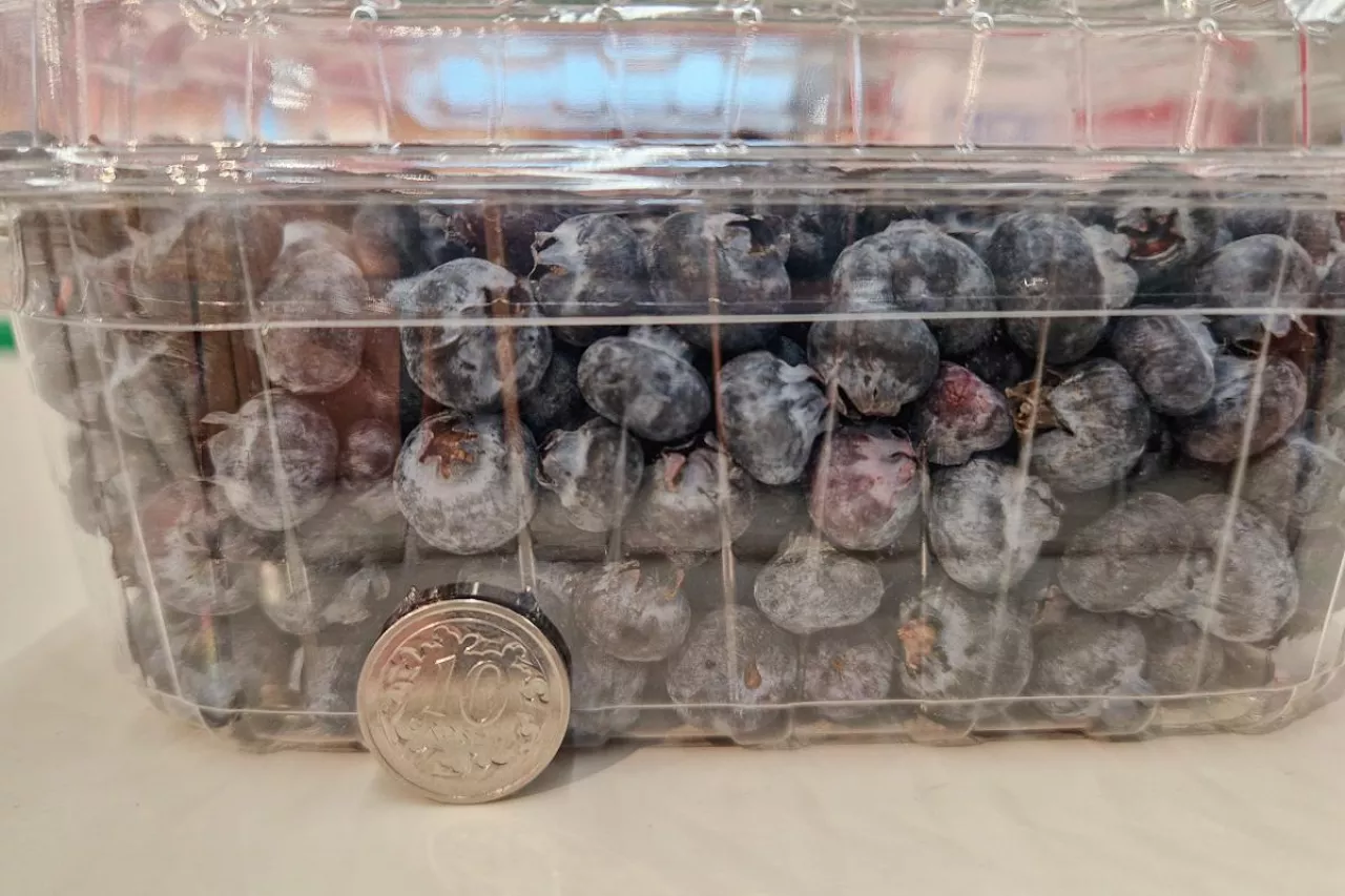 importowane borówki