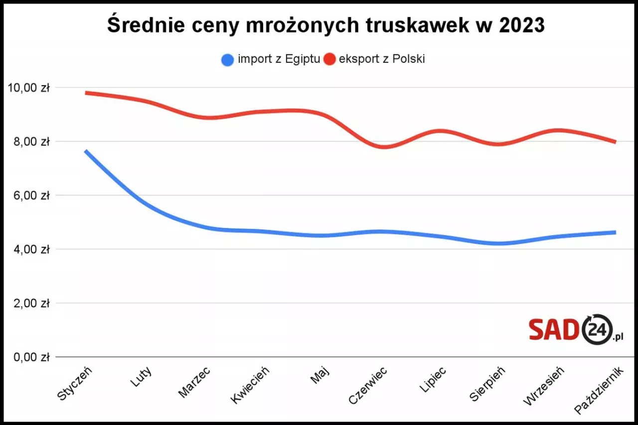 egipskie i polskie mrożone truskawki