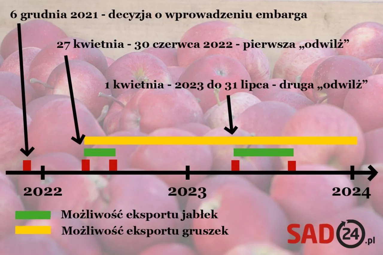 embargo na polskie jabłka