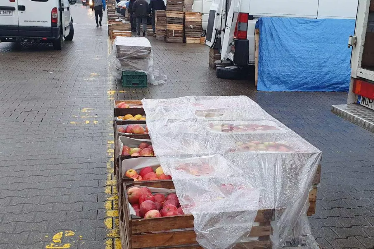 bronisze rynek hurtowy