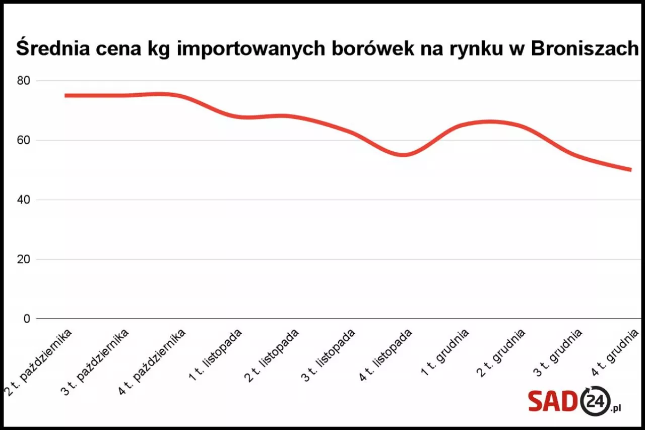 borówki ceny 2023/2024