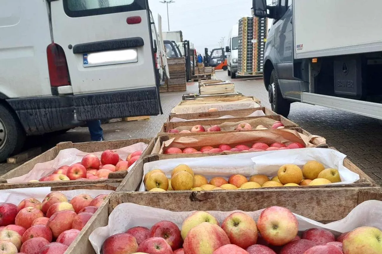 ceny jablek na broniszach