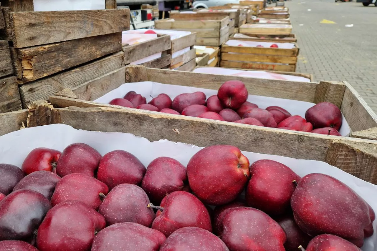 bronisze rynek hurtowy