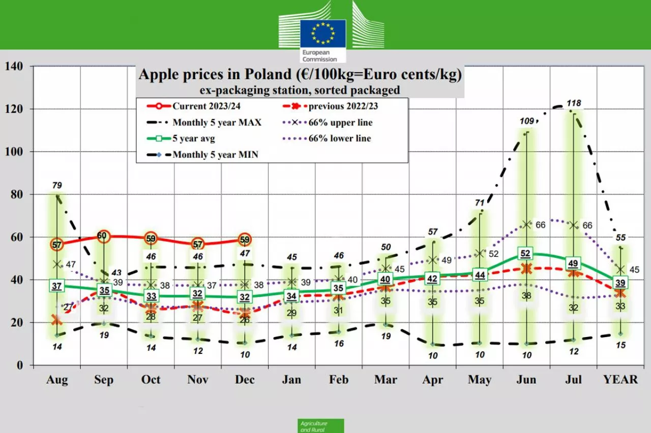 ceny wysortowanych jablek