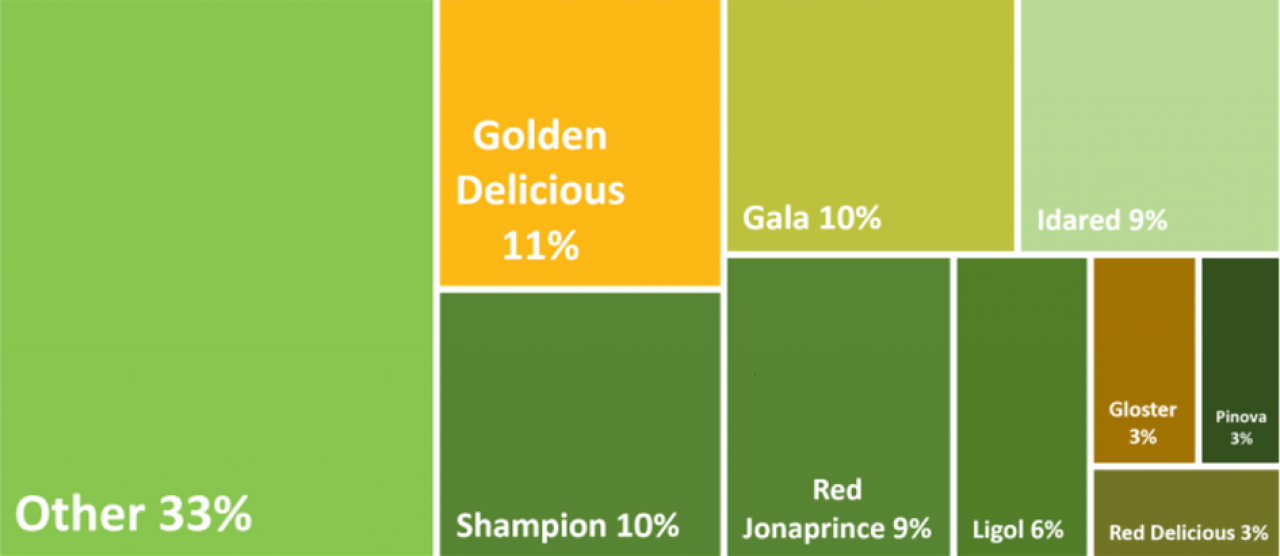 tabela liczymy jablka