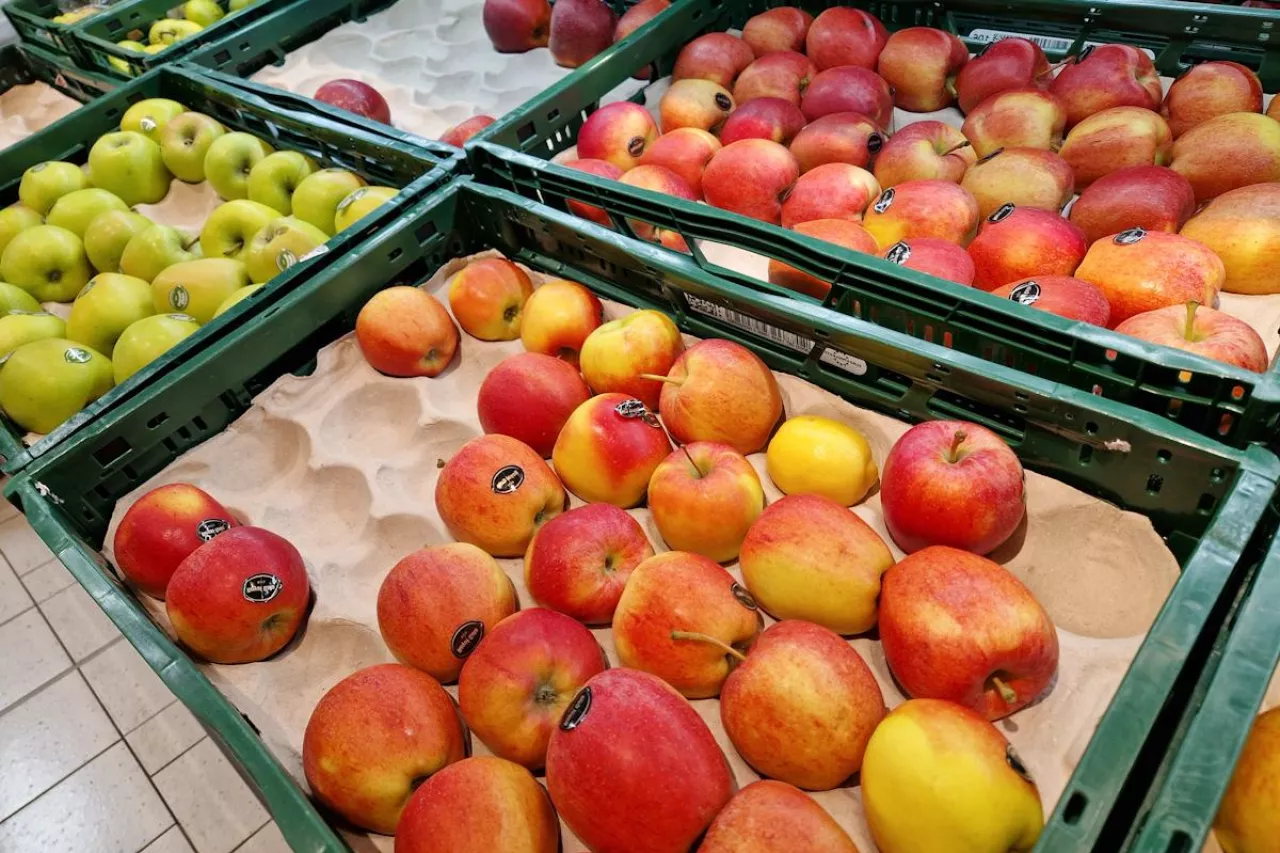 wysoka kara dla auchan