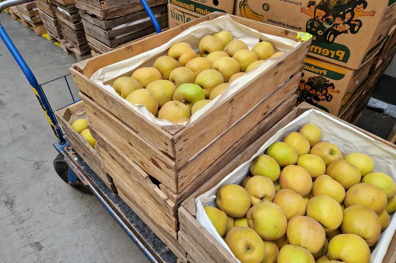 ceny jabłek na broniszach