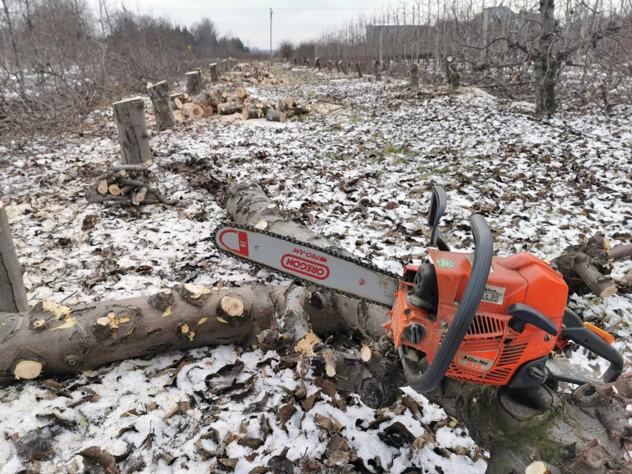 Markowa piarka do 1000 zł