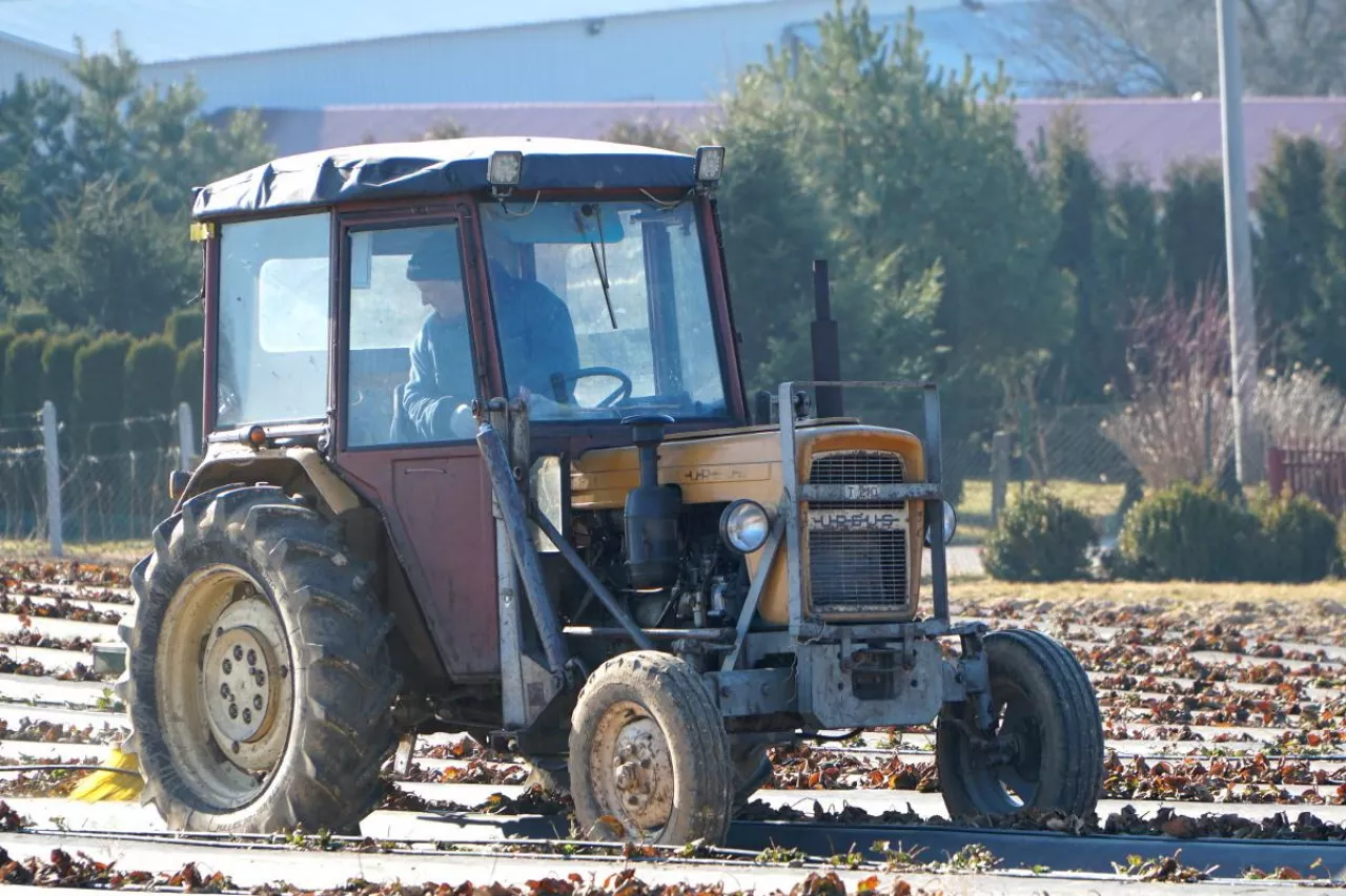 Ursus C330 fabrycznie nowy ceny