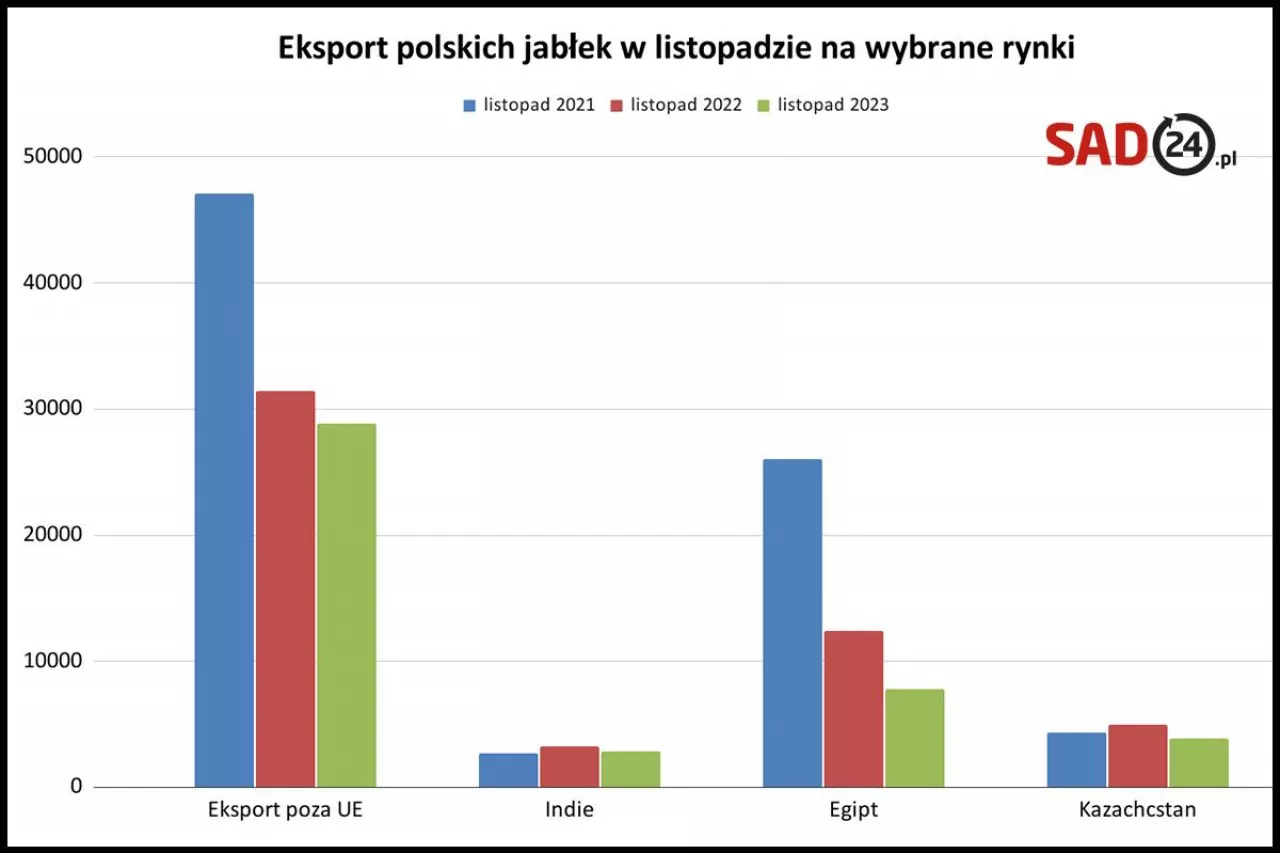 eksport jabłek poza UE