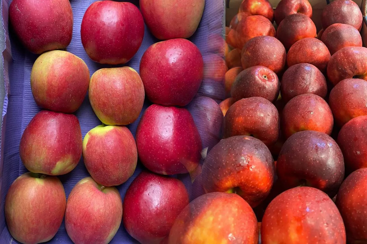 aktualne ceny jabłek