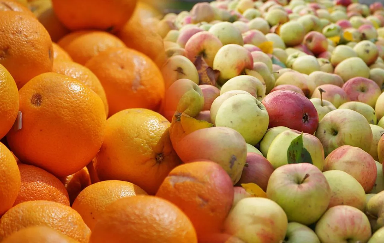 drogi koncentrat pomaranczowy