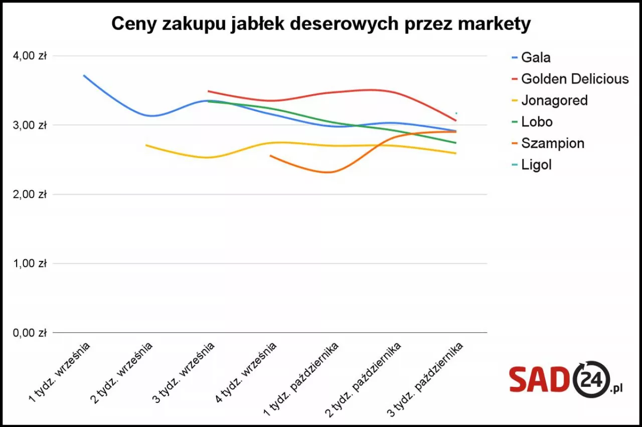 ceny jabłek kupowanych przez markety