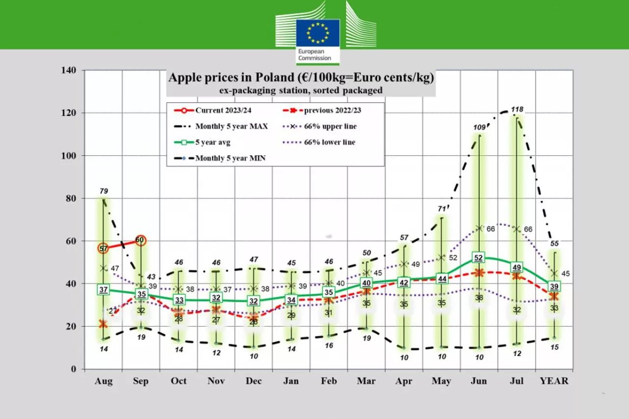 ceny jabłek deserowych