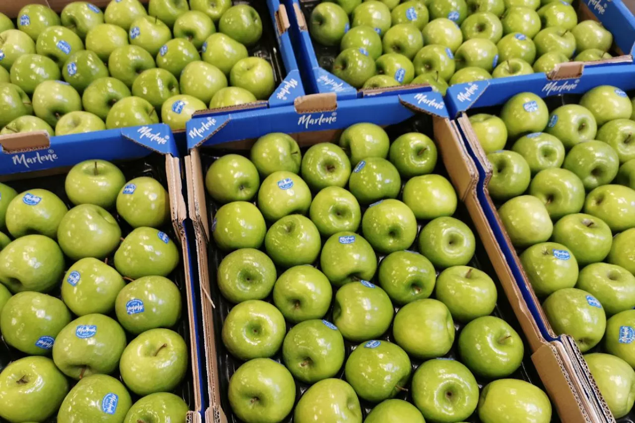 ceny jabłek na niemieckich rynkach hurtowych