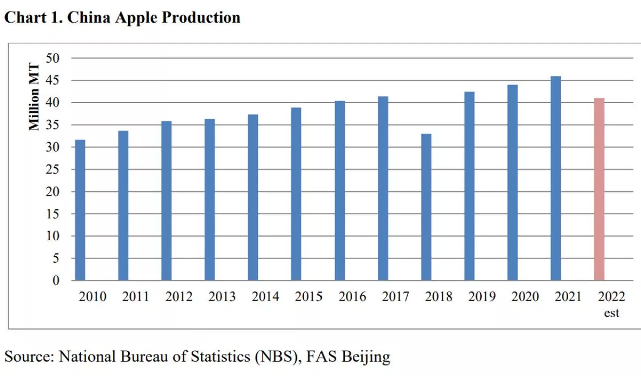 produkcja jabłek w chinach