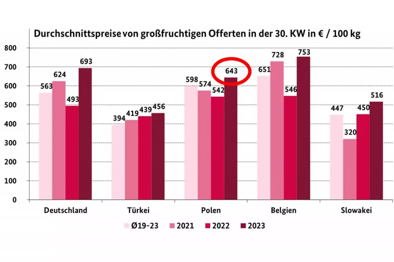 Ceny czereśni na niemieckich rynkach hurtowych w 30 tygodniu roku. Źródło: raport BLE za 30 tydzień 2023 roku
