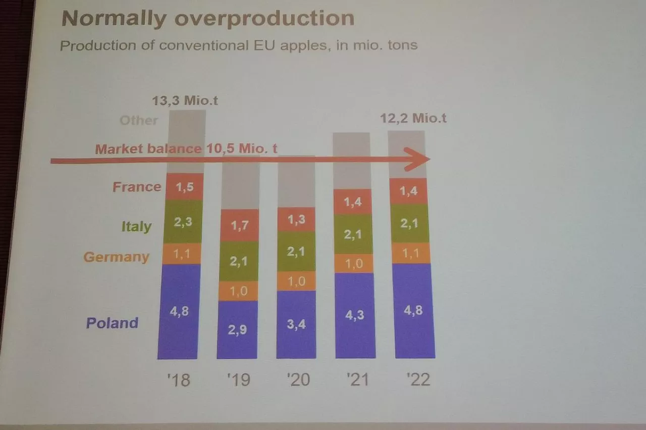Równowaga rynkowa dla produkcji jabłek w UE - slajd z prezentacji Helwiga Schwartau