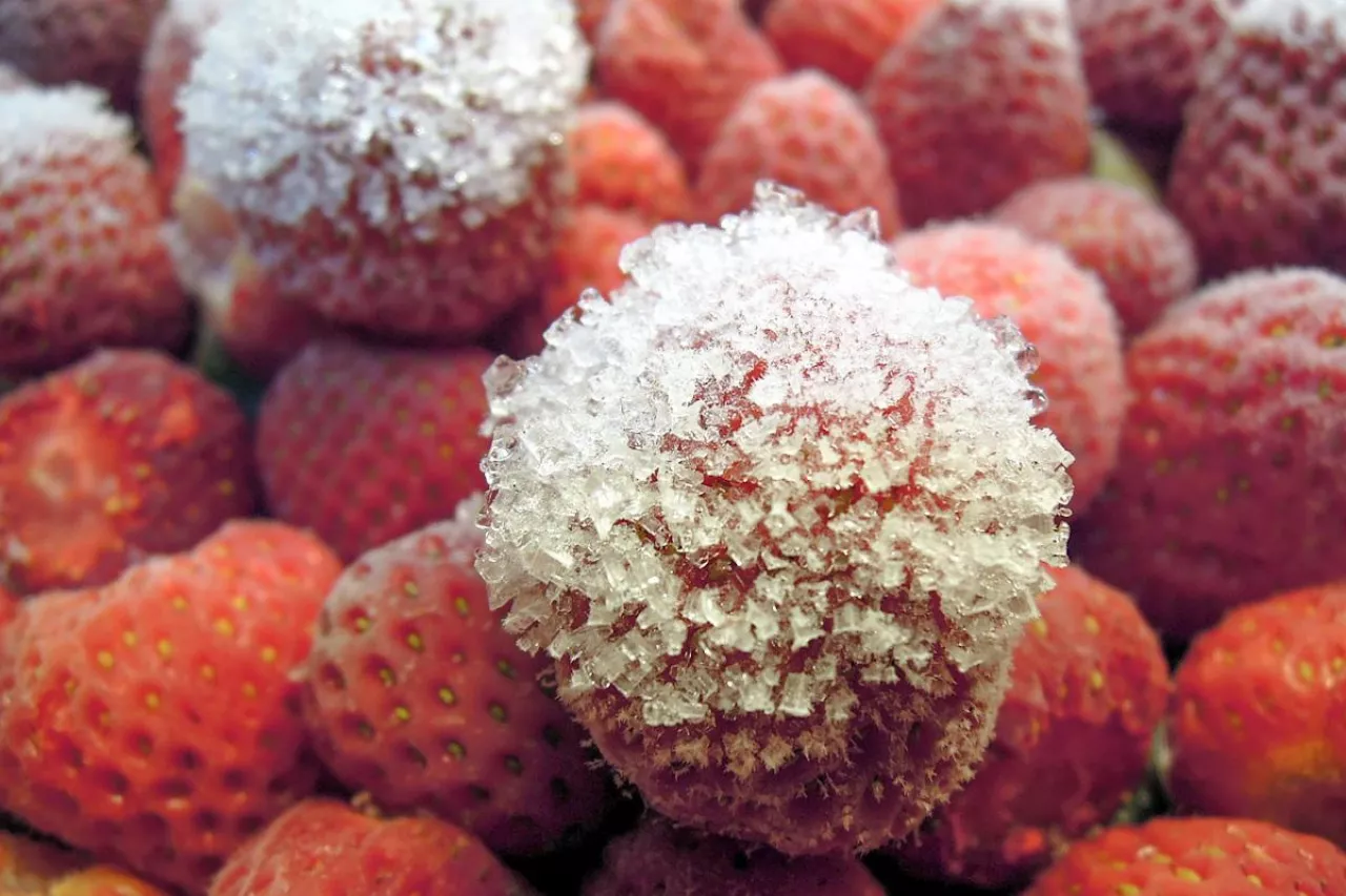 mrożone truskawki