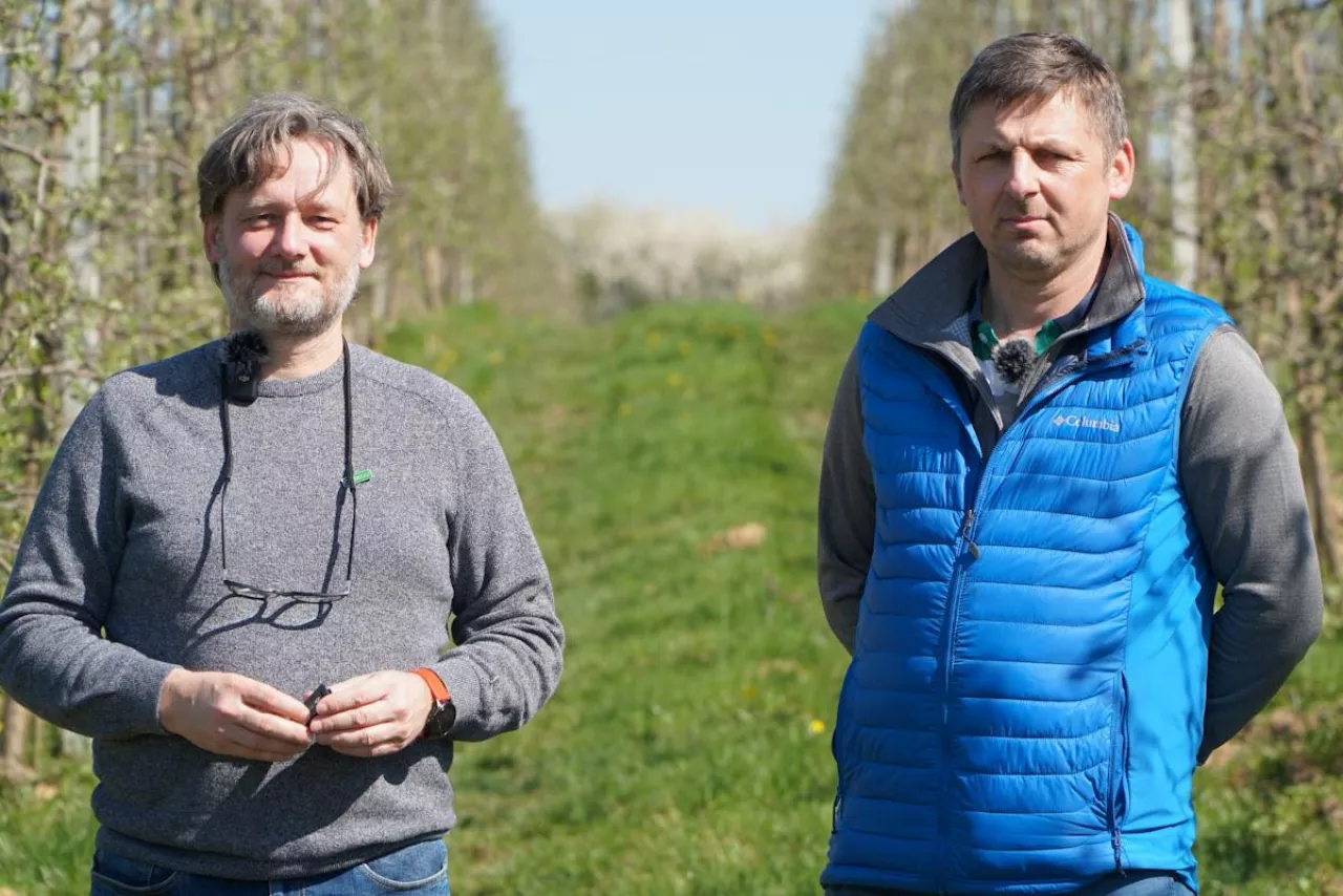 Tomasz Zieliński Michał Pniak