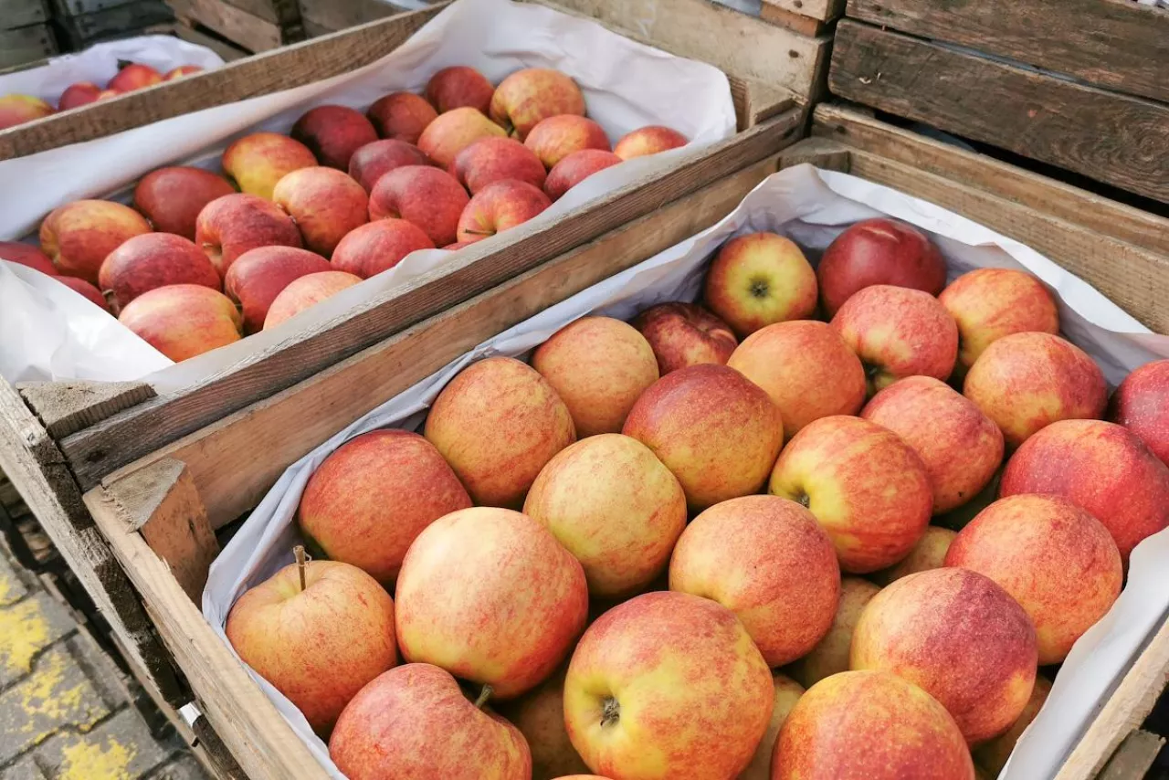 jabłka bronisze ceny 22.03.2023