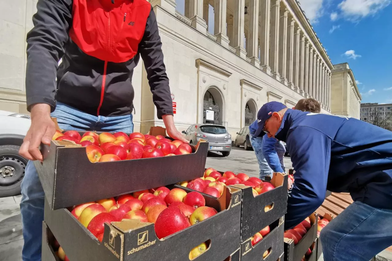 jabłka ministerstwo
