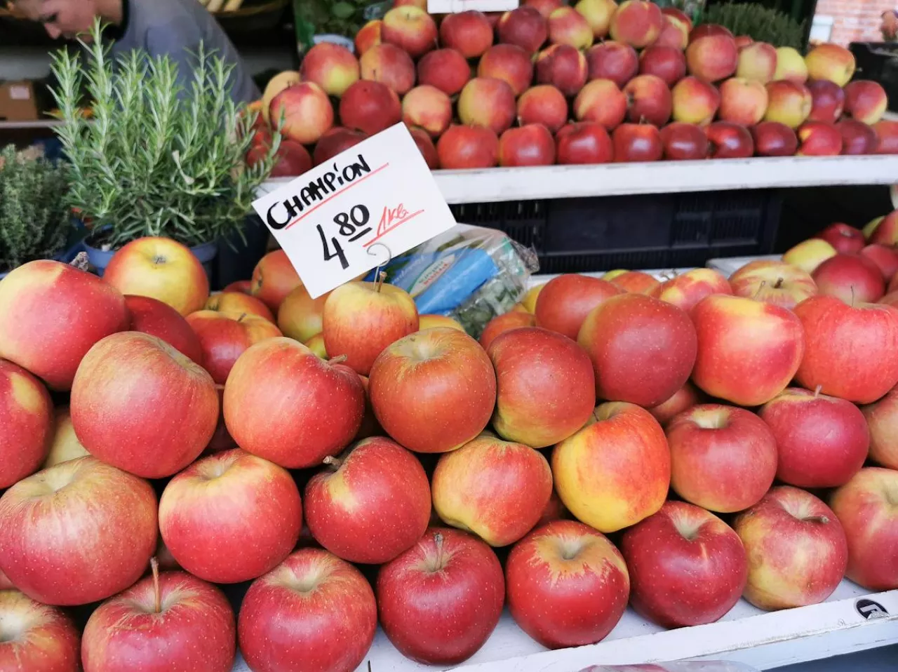 jabłka targowisko