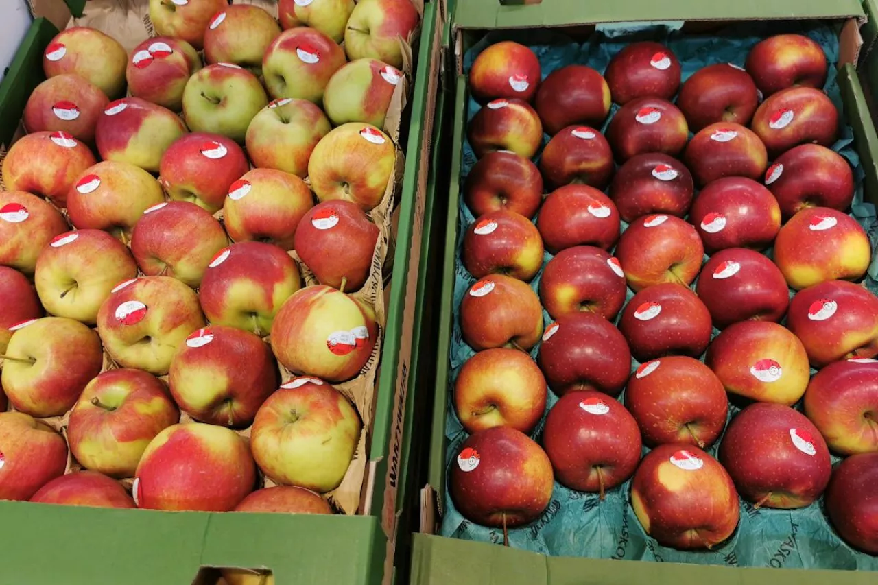 jabłka market