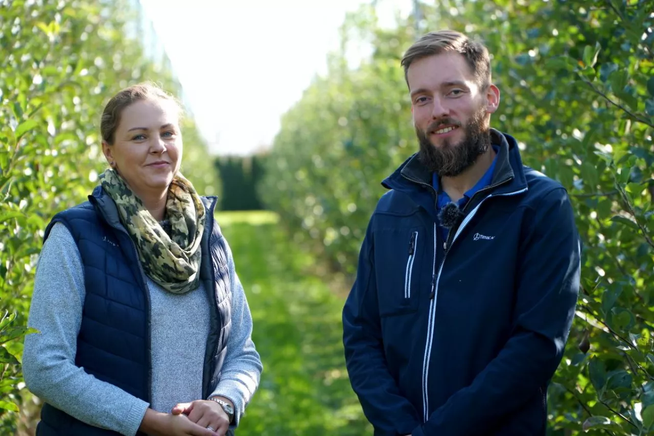 aktualna sytuacja w sadach