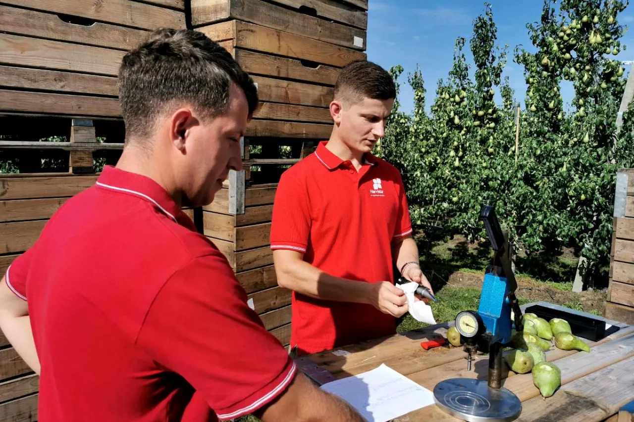 Marek Grzęda i Lukasz Widłak