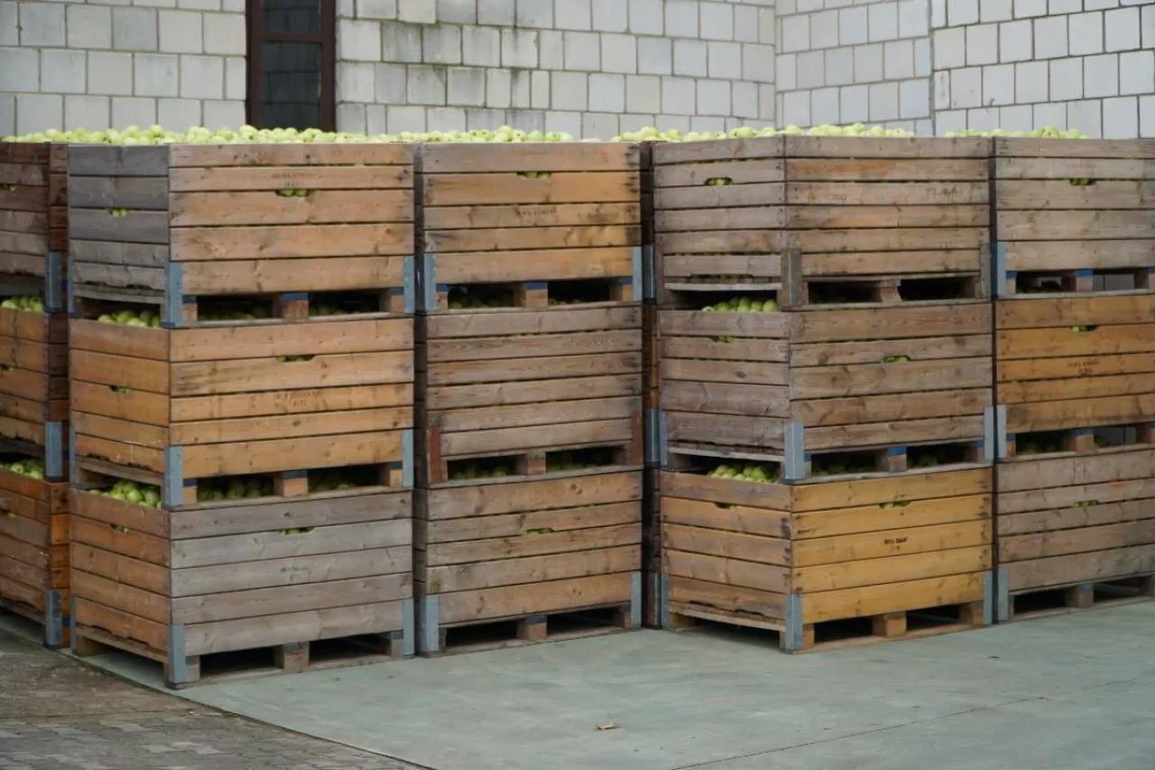 stawki za wynajem komory