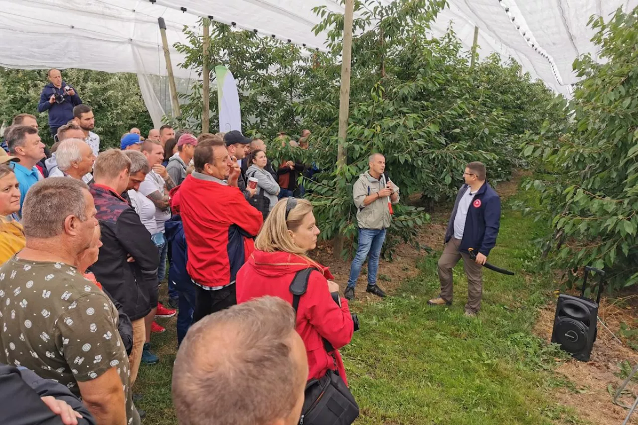 Letnie Pokazy Czereśniowe 2022