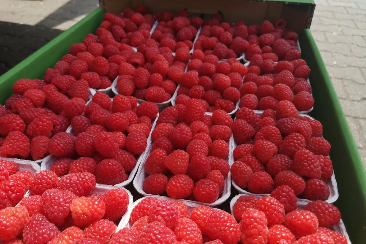 ceny mlain na rynkach hurtowych