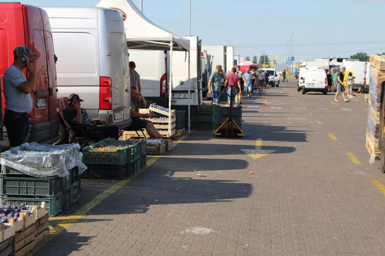 rozwiązania na nowoczesnych rynkach hurtowych