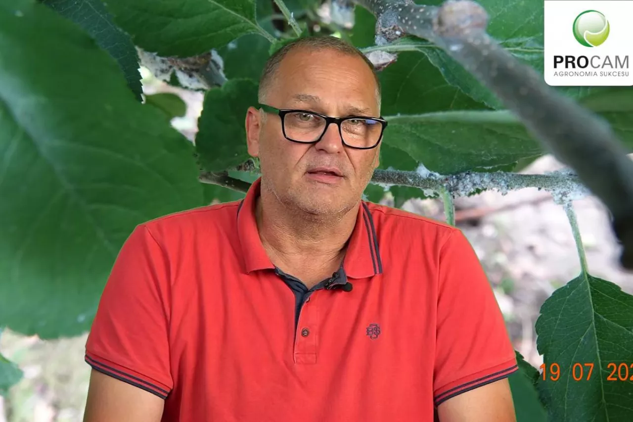 dr krzysztof gasparski