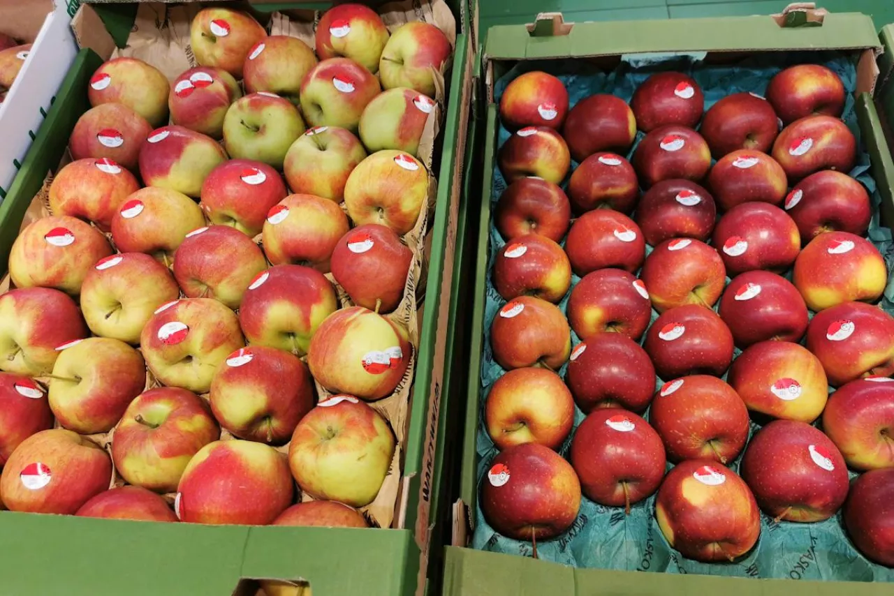 jabłka market